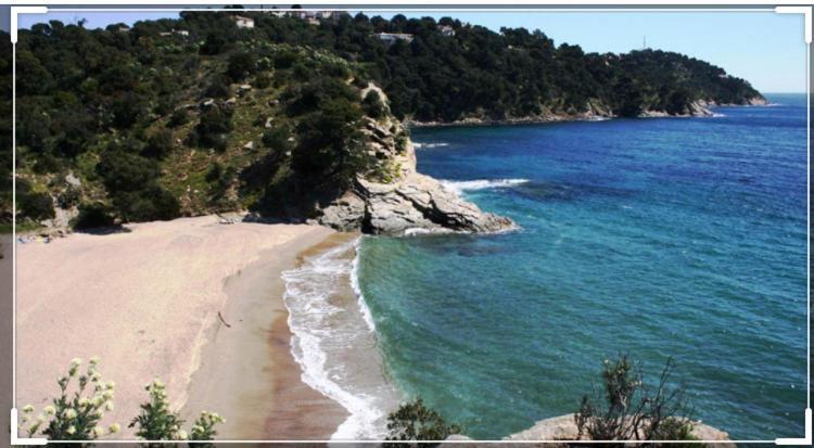 Cavalaire Sea View Cottage: Equipped for 4 with Pool, A/C, Wi-Fi & Bikes Exterior photo